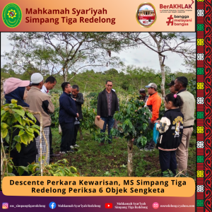 Descente Perkara Kewarisan, MS Simpang Tiga Redelong Periksa 6 Objek Sengketa